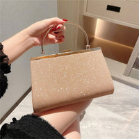 Elegant Evening Clutch Purse